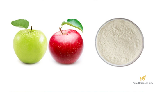 Apple Extract 20:1 | Malus Pumila Extract | Ping Guo-Pure Chinese Herb™