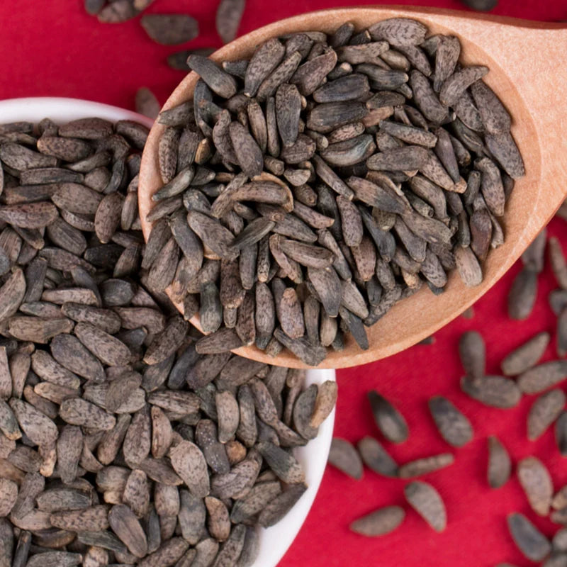 Arctium Lappa Seeds | Greater Burdock | Beggar's Buttons | Niu Bang | 200pcs/bag-Pure Chinese Herb™