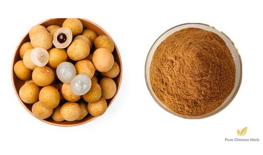 Arillus Longan Extract 20:1 | Dried Longan Pulp Extract | Long Yan Rou-Pure Chinese Herb™