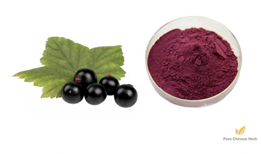 Aristotelia Chilensis Extract 20:1 | Maquiberry | Zhi Li Jiu Gou-Pure Chinese Herb™