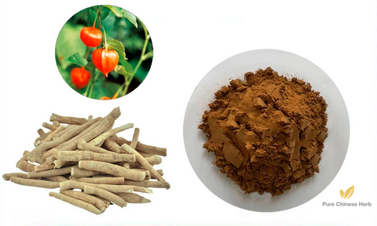 Ashwagandha Extract 20:1 | Withania Somnifera | Yin Du Ren Shen-Pure Chinese Herb™