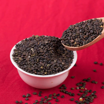 Astragalus Membranaceus Seeds | Mongolian Milkvetch | Huang Qi | 200pcs/bag-Pure Chinese Herb™