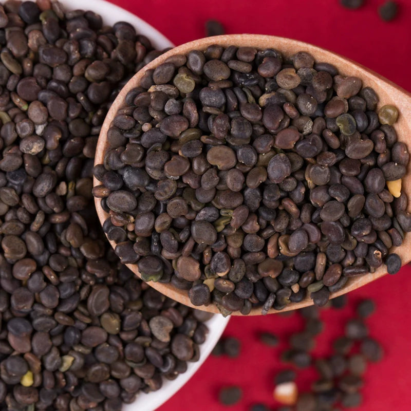 Astragalus Membranaceus Seeds | Mongolian Milkvetch | Huang Qi | 200pcs/bag-Pure Chinese Herb™