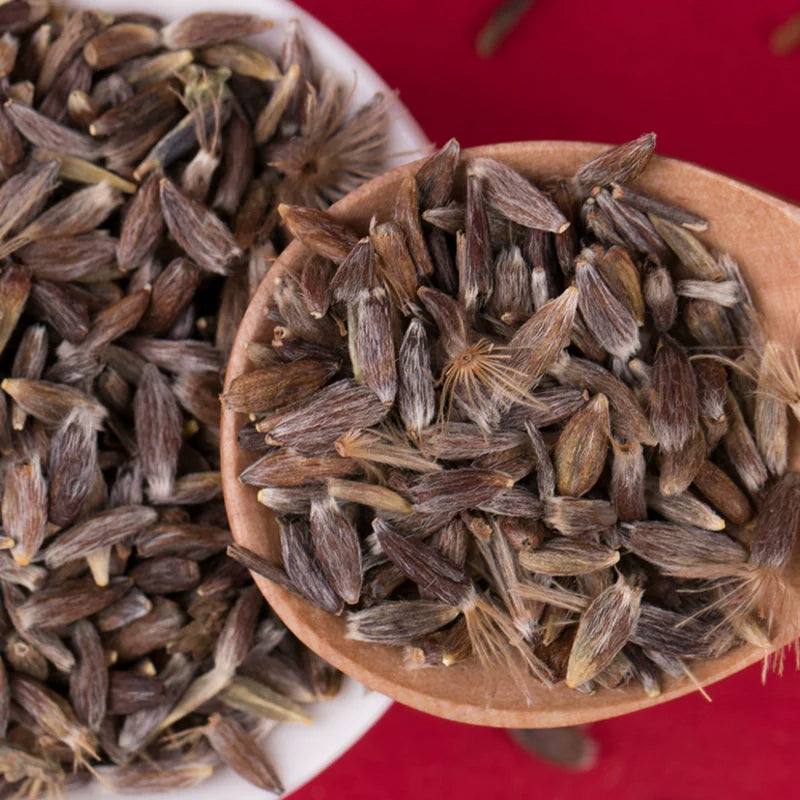 Atractylodes Lancea Seeds | Atractlodis Rhizoma | Cang Zhu | 200pcs/bag-Pure Chinese Herb™