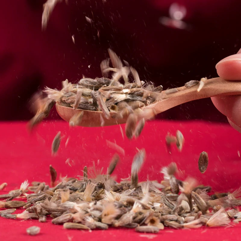 Atractylodes Lancea Seeds | Atractlodis Rhizoma | Cang Zhu | 200pcs/bag-Pure Chinese Herb™