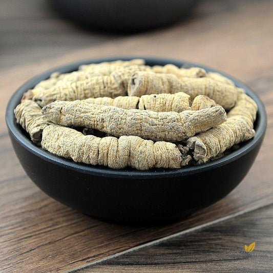 Ba Ji Tian Radix Morindae Officinalis Medicinal Indianmulberry Root-Pure Chinese Herb™