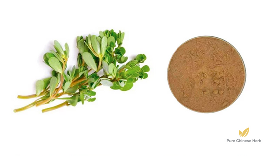 Bacopa monnieri Extract 20:1 | Water Hyssop Extract | Shui Bo He-Pure Chinese Herb™