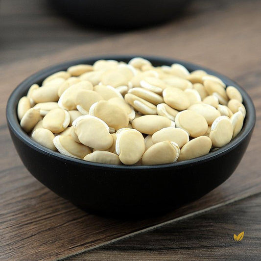 Bai Bian Dou Semen Lablab Album White Lablab Bean Dolichos Lablab L.-Pure Chinese Herb™