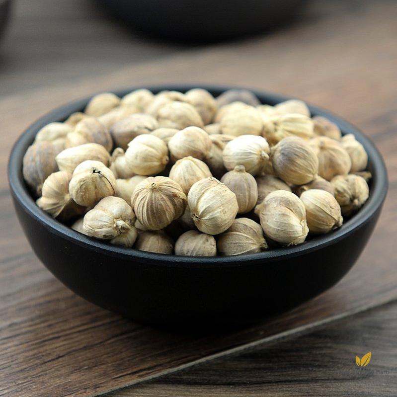 Bai Dou Kou Round Cardamom Fruit Fructus Amomi Rotundus-Pure Chinese Herb™