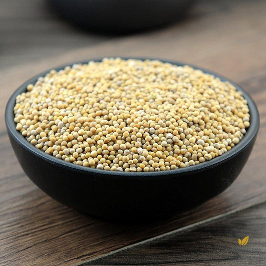 Bai Jie Zi Semen Sinapis Albae White Mustard Seed Semen Brassicae-Pure Chinese Herb™