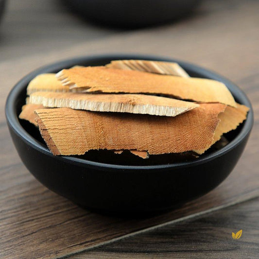Ban Feng He Pterospermum Heterophyllum Hance.-Pure Chinese Herb™