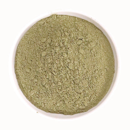 Barbed Skullcap Herb Powder Herba Scutellariae Barbatae Herb Powder Ban Zhi Lian Fen-Pure Chinese Herb™