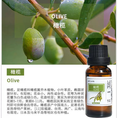 Canarium Album Essential Oil | Olive Essential Oil | Gan Lan Jing You-Pure Chinese Herb™