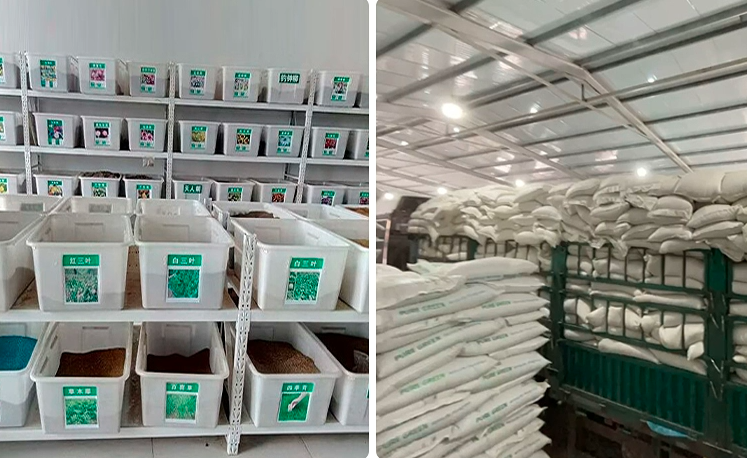 Carthamus Tinctorius Seeds | Common Safflower | Hong Hua | 100pcs/bag-Pure Chinese Herb™