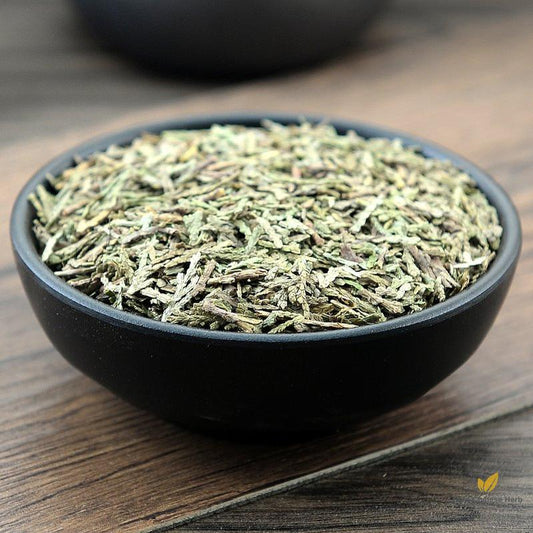 Ce Bai Ye Cacumen Platycladi Chinese Arborvitae Twig-Pure Chinese Herb™