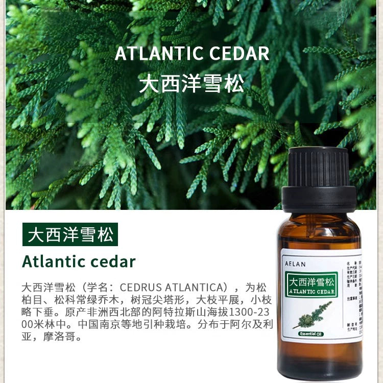 Cedrus deodara Essential Oil | Atlantic Cedar Essential Oil | Da Xi Yang Xue Song Jing You-Pure Chinese Herb™