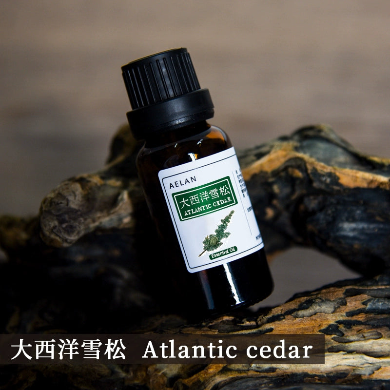 Cedrus deodara Essential Oil | Atlantic Cedar Essential Oil | Da Xi Yang Xue Song Jing You-Pure Chinese Herb™