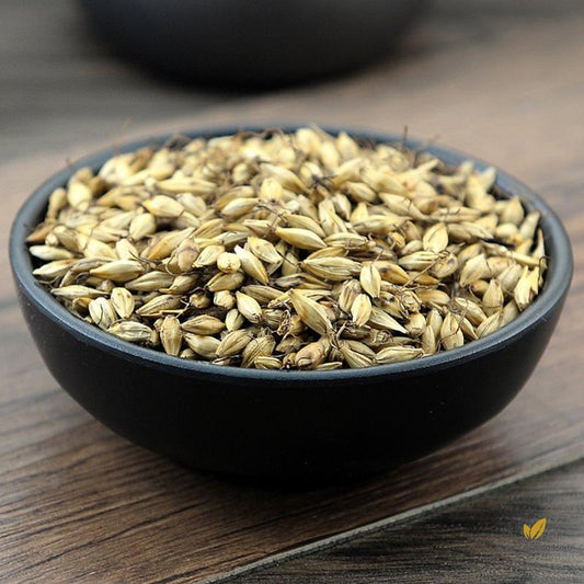 Chao Mai Ya Malt Fructus Hordei Germinatus Hordeum Vulgare L.-Pure Chinese Herb™