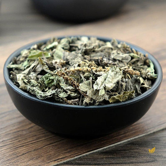 Che Qian Cao Herba Plantaginis Plantain Herb Plantago Asiatica L.-Pure Chinese Herb™