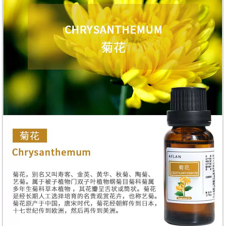 Chrysanthemum Morifolium Essential Oil | Chrysanthemum Essential Oil | Ju Hua Jing You-Pure Chinese Herb™