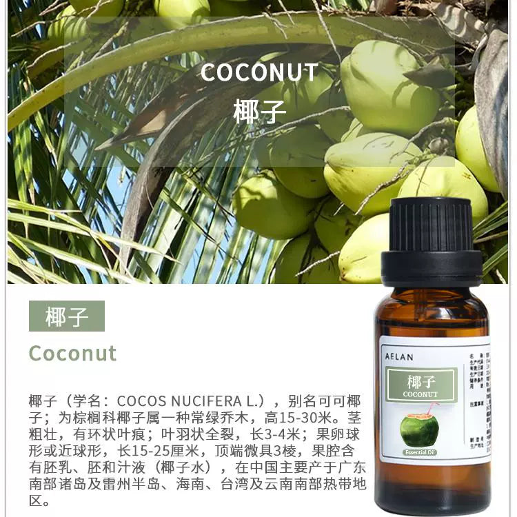 Cocos Nucifera Essential Oil | Coconut Essential Oil | Ye Zi Jing You-Pure Chinese Herb™