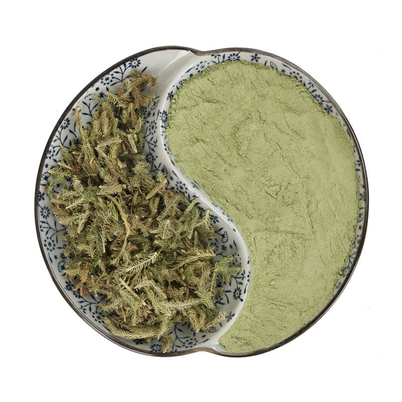Common Clubmoss Herb Powder Herba Lycopodii Herb Powder Shen Jin Cao Fen-Pure Chinese Herb™