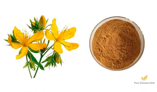 Common St. John’s Wort Herb with Root Extract 20:1 | Hypericum Perforatum Extract | Guan Ye Lian Qiao-Pure Chinese Herb™