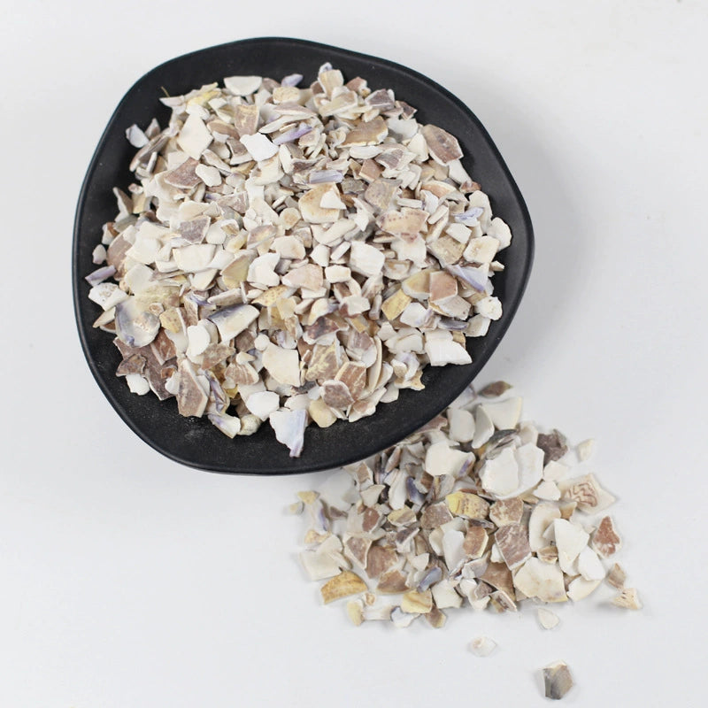 Concha Meretricis seu Cyclinae Powder Clam Shell Herb Powder Hai Ge Ke Fen-Pure Chinese Herb™