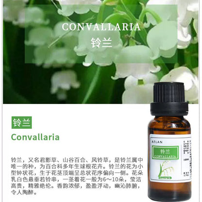 Convallaria Keiskei Essential Oil | Convallaria Essential Oil | Ling Lan Jing You-Pure Chinese Herb™