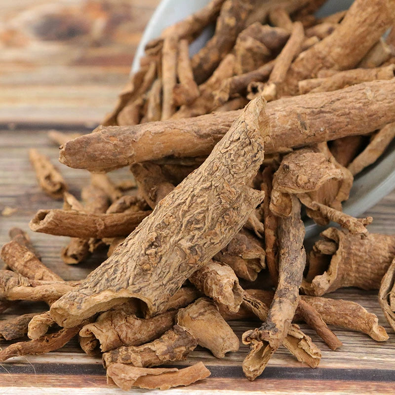 Cortex Acanthopanacis Powder Slenderstyle Acanthopanax Bark Herb Powder Wu Jia Pi Fen-Pure Chinese Herb™