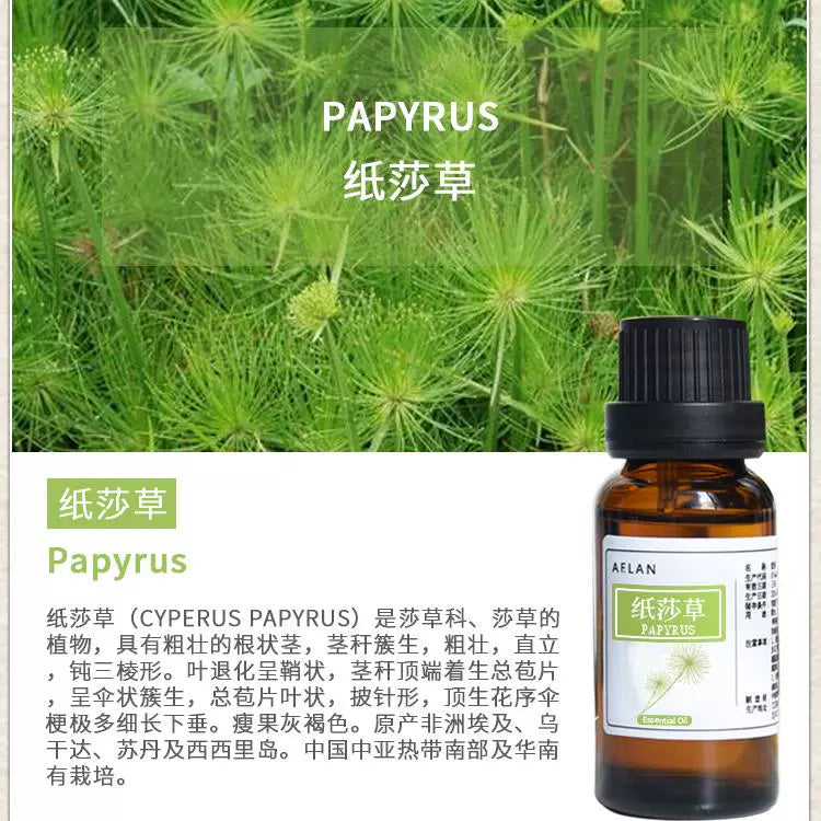 Cyperus Papyrus Essential Oil | Papyrus Essential Oil | Zhi Sha Cao Jing You-Pure Chinese Herb™