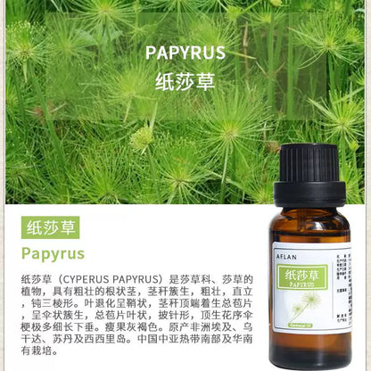 Cyperus Papyrus Essential Oil | Papyrus Essential Oil | Zhi Sha Cao Jing You-Pure Chinese Herb™