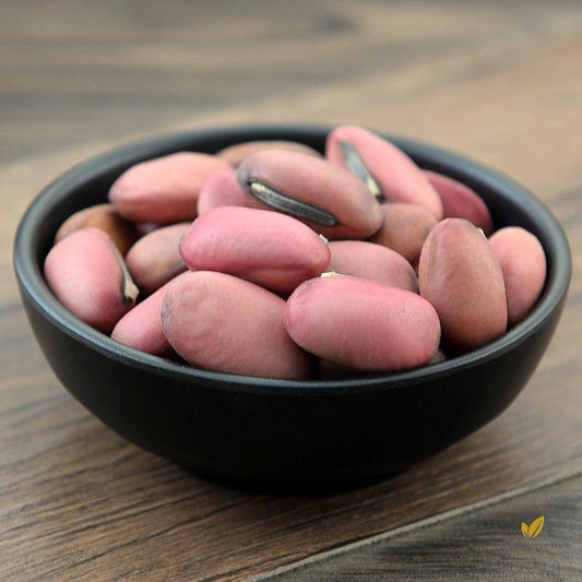 Dao Dou Zi Semen Canavaliae Sword Jackbean Seed-Pure Chinese Herb™