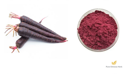Daucus Carota Extract 20:1 | Purple Carrot Extract | Zi Hu Luo Bo-Pure Chinese Herb™