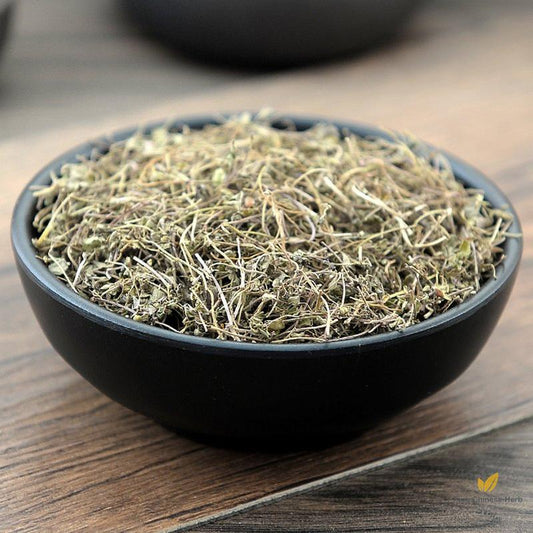 Di Jin Cao Herba Euphorbiae Humifusae Humifuse Euphorbia Herb-Pure Chinese Herb™