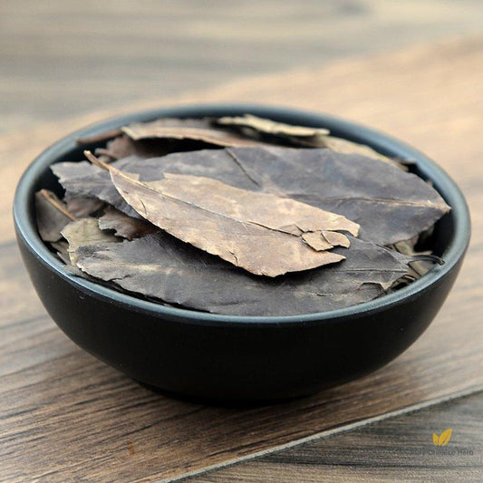 Dong Qing Ye Ilex Chinensis Sims Holly Leaf Flos Ilex Chinese Ilex-Pure Chinese Herb™