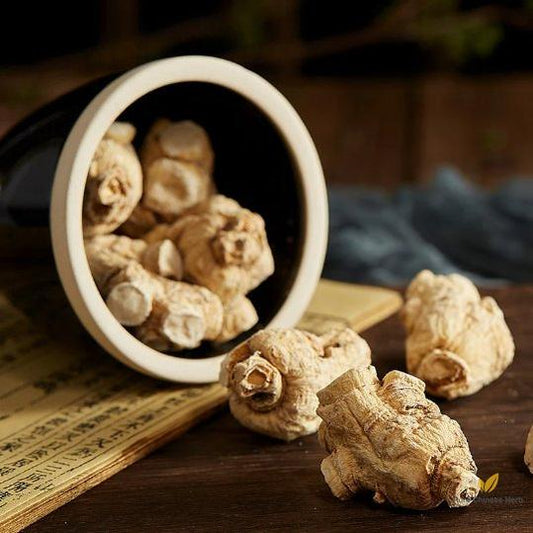 Dried Organic Ginseng Roots | American Ginseng Root | Xī Yáng Shēn-Pure Chinese Herb™