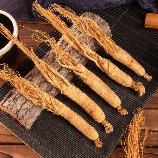 Dried Organic Ginseng Roots | White Ginseng Root | Bái Shēn-Pure Chinese Herb™