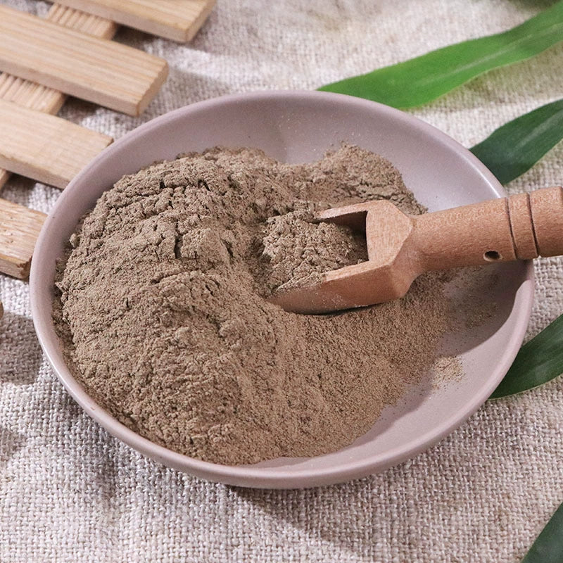 Ecklonia Kurome Okam Powder Laminaria Japonica Herb Powder Kun Bu Fen-Pure Chinese Herb™