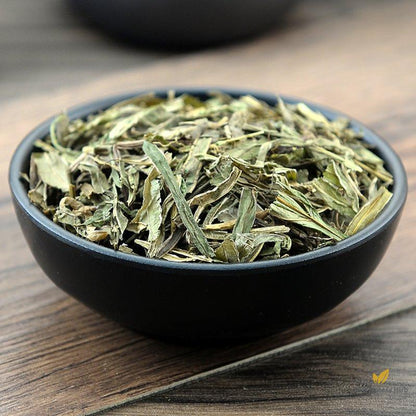 Feng Wei Cao Chinese Brake Herb Herba Pteridis Multifidae-Pure Chinese Herb™