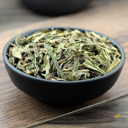 Feng Wei Cao Chinese Brake Herb Herba Pteridis Multifidae-Pure Chinese Herb™