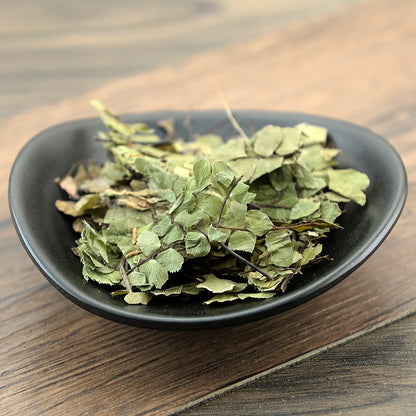 Feng Wei Zhu Zong Cao Yunnan Spleenwort Herb Herba Asplenii Yunnanensis-Pure Chinese Herb™