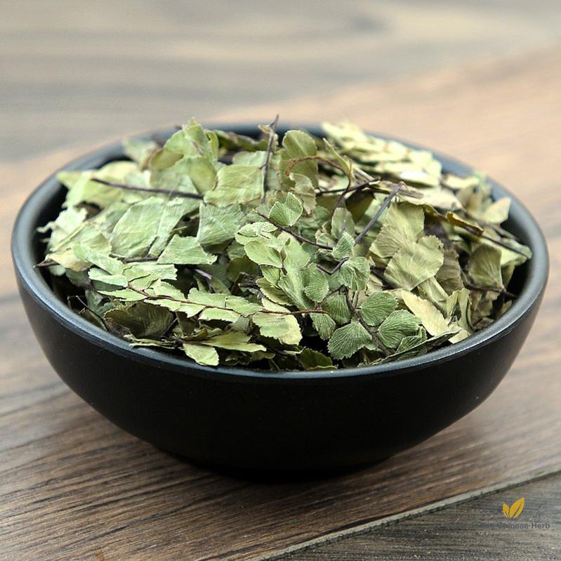 Feng Wei Zhu Zong Cao Yunnan Spleenwort Herb Herba Asplenii Yunnanensis-Pure Chinese Herb™