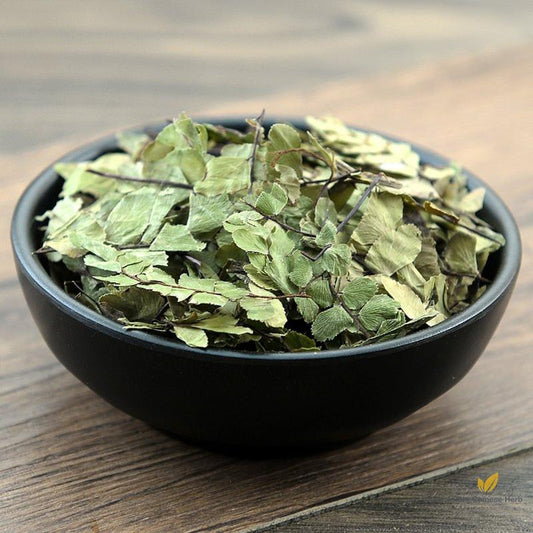 Feng Wei Zhu Zong Cao Yunnan Spleenwort Herb Herba Asplenii Yunnanensis-Pure Chinese Herb™