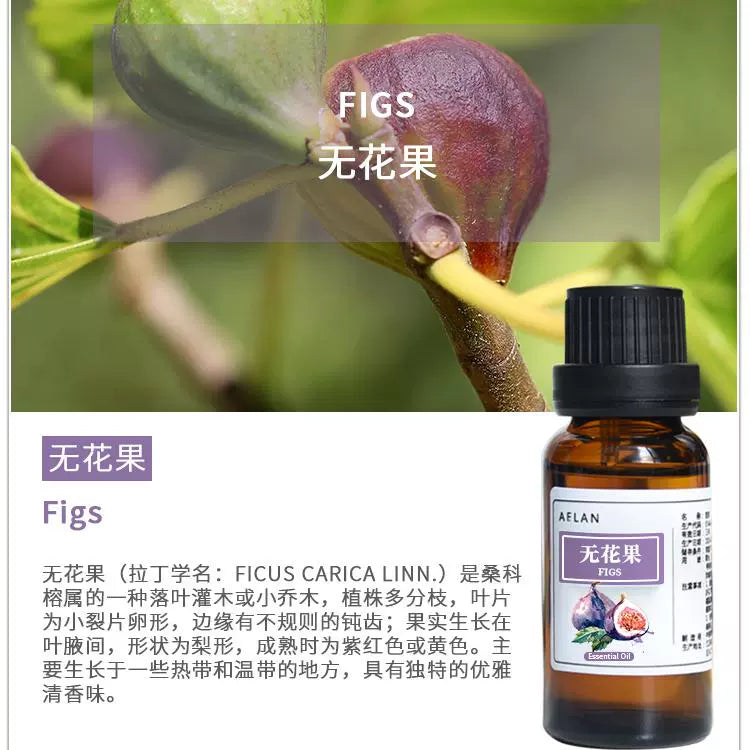 Ficus carica Essential Oil | Fig Essential Oil | Wu Hua Guo Jing You-Pure Chinese Herb™