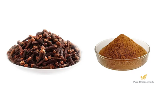 Flos Caryophylli Extract 20:1 | Quality Pure Bulk Herbs Flos Syzygii Aromatici | Ding Xiang Hua-Pure Chinese Herb™