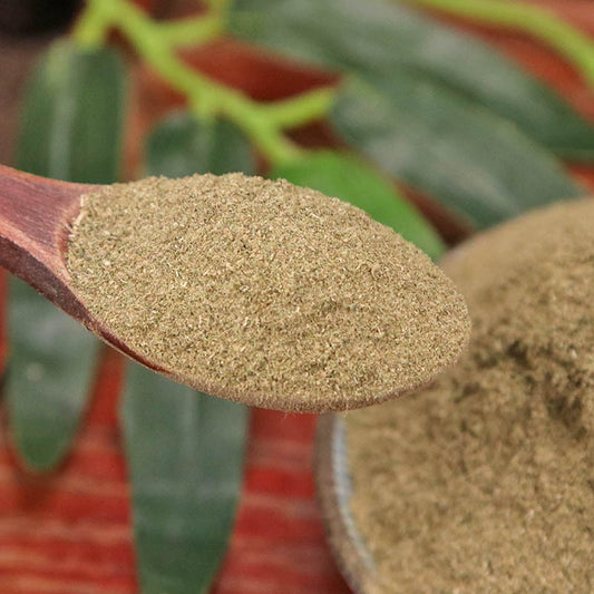 Flos Magnoliae Powder Biond Magnolia Flower Herb Powder Xin Yi Hua Fen-Pure Chinese Herb™