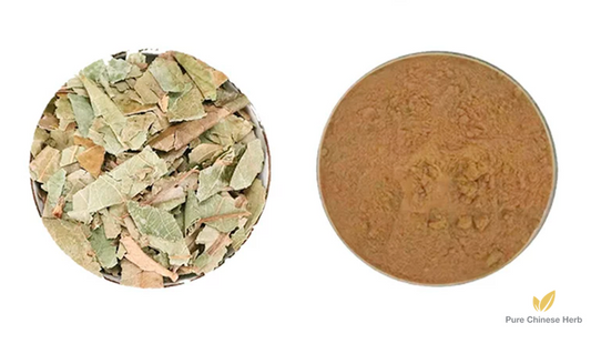 Folium Eriobotryae Extract 20:1 | Loquat Leaf | Pi Pa Ye-Pure Chinese Herb™
