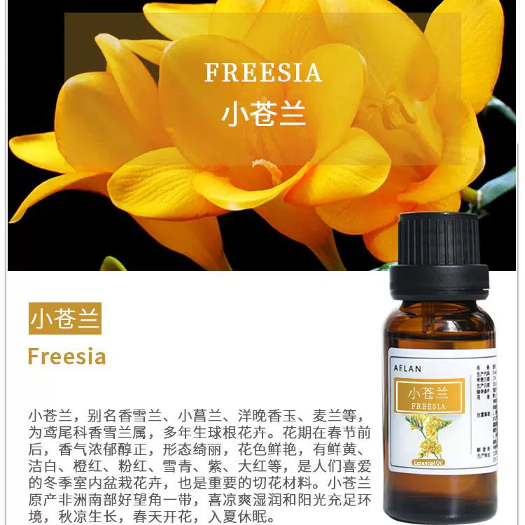 Freesia Refracta Essential Oil | Freesia Essential Oil | Xiao Cang Lan Jing You-Pure Chinese Herb™