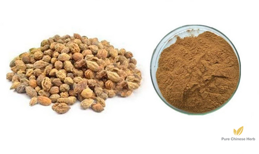 Fructus Alpiniae Oxyphyllae Extract 20:1 | Sharpleaf Galangal Fruit Extract | Yun Hui Xiang Guo-Pure Chinese Herb™